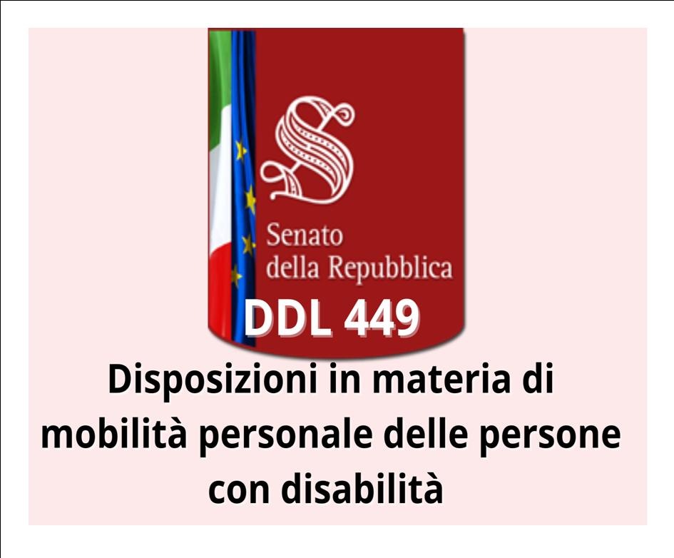 DISEGNO DI LEGGE 449 (DISABILITA' E NOMENCLATORE)