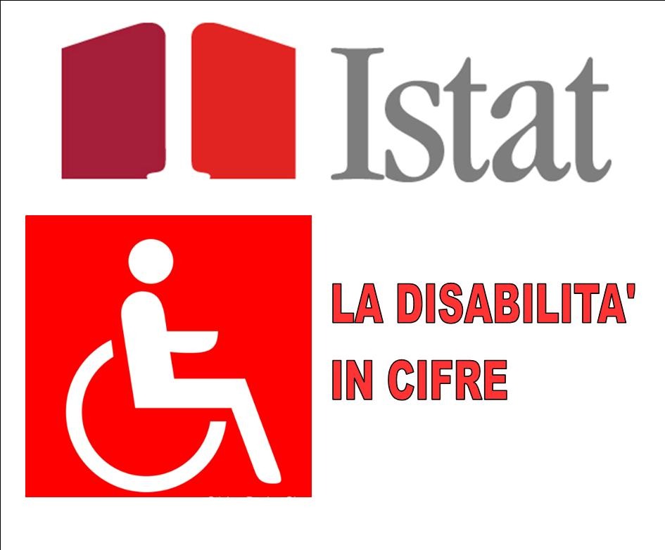 ISTAT - LA DISABILITA' IN CIFRE