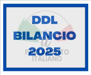 DISEGNO DI LEGGE DI BILANCO 2025 E NUOVI LEA PROTESICA