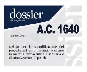 DDL PER SEMPLIFICARE I PROCEDIMENTI AMMINISTRATIVI PER DISABILI